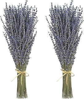 Dried Lavender 2 Bunches 100% Fresh Natural Purple Bouquet Flowers for B...
