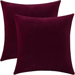 Jeneoo Set of 2 Comfy Soft Thick Velvet Throw Pillow Covers for Sofa Cou...