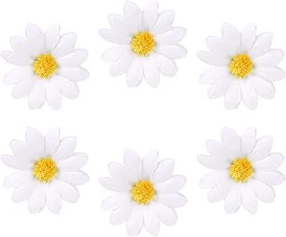 Mozeat Lens 6pcs Daisy Hair Clips, White Daisy Flower Hair Clips, Hair B...