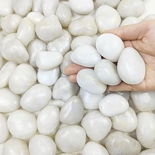 2 lbs Polished White Pebbles for Pebbles, 1-2 Inch Smooth White River Ro...