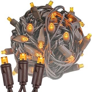 Novelty Lights 11ft 50 LED Amber Christmas String Lights, 2.5