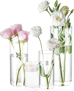 4 Pack Glass Cylinder Vases 4,6,8,10 Inch Tall Clear Flower Vase Hurrica...