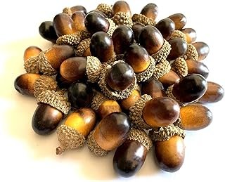 Aliotech 50 Pack Artificial Acorns Lifelike with Acorn Cap Simulation Sm...