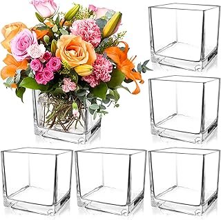 6 Pack Square Glass Vases 5 x 5 x 5 Inch, Clear Cube Flower Vases for Ce...