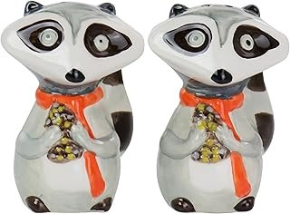 Gibson Home Woodland Raccoon 2 Piece Hard Dolomite Salt and Pepper Set