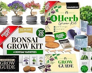 HOME GROWN Bonsai Tree Kit - HOME GROWN Indoor Herb Garden Kit