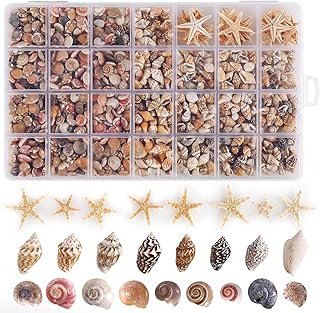 PPCLION 60pcs Tiny Starfish 1800 Pcs Tiny Mini Small Sea Shells for Craf...
