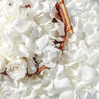 Real Dried Ivory White Rose Petals, Frozen Preserved Petals for, Wedding...