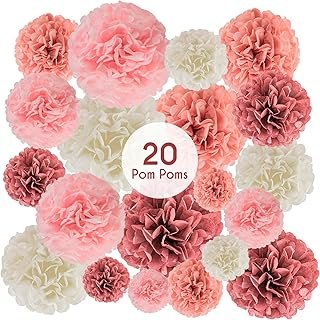 EpiqueOne 20 Piece Tissue Paper Pom Poms | Blush Pink, Dusty Rose, Mauve...