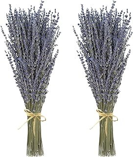 Dried Lavender 2 Bunches 100% Fresh Natural Purple Bouquet Flowers for B...