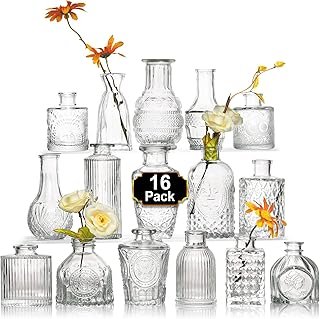 Arme 16Pcs Glass Bud Vase Set，Small Flower Vase for Centerpieces，Clear B...