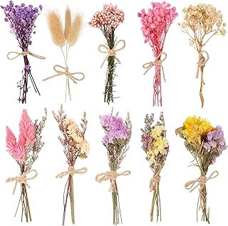 VAIPI 10 Pack Dried Flower Bouquets Various Dried Flower Combinations wi...