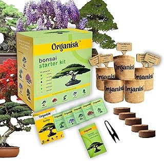 Bonsai Starter Kit - 5 Unique Tree Types, Special DIY Garden Hobby Kits ...