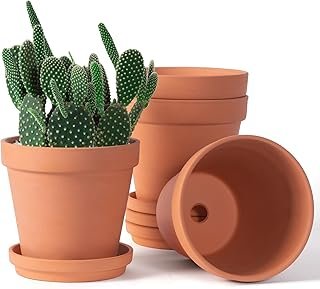6 inch Terracotta & Clay Pots for Plants with Saucer, Medium Terra Cotta...