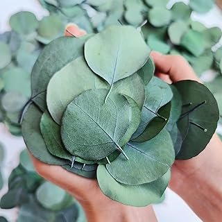 300+ Pcs Dried Real Eucalyptus Leaves, Rustic Boho Wedding Table Decor, ...