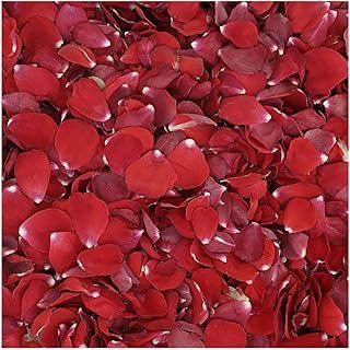 30 Cups Real Red Rose Petals Freeze-Dried, eco-Friendly, Biodegradable. ...