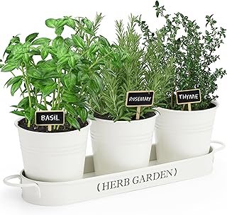 PERFNIQUE Indoor Herb Garden, Herb Planter for Indoor/Outdoor, Farmhouse...