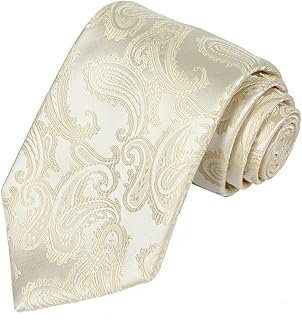 Mens Necktie Classic Paisley Event Tie + Gift Box