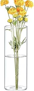 CYS EXCEL Clear Glass Cylinder Flower Vase (H:8
