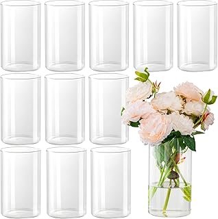 12pcs Glass Cylinder Vases for Centerpieces - 6 Inch Tall Flower Vase fo...