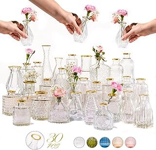 Premium Heirloom Hills Bud Vases for Home Decor, Crystal Clear Glass Flo...