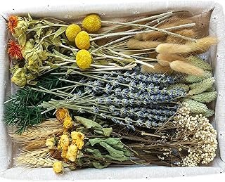 DIY Natural Dried Flower Set, Bulk Dried Flowers for Vase, Dried Flowers...