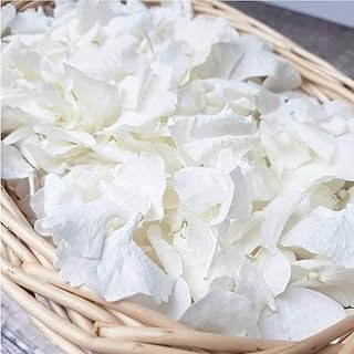 1500Pcs Real Dried Ivory White Hydrangea Flower Petals - Natural smal Pe...