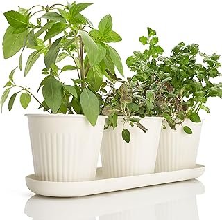 KIBAGA Beautiful Herb Garden Planter Indoor Set of 3 - Perfect for Any K...