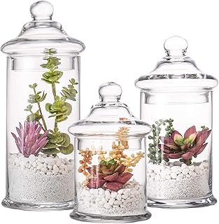 Set of 3 Glass Apothecary Jars with Lids, Clear Bathroom Storage Organiz...